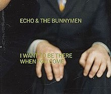 Bunnymen iwanttobethere2.jpg