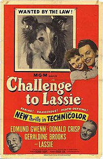 <i>Challenge to Lassie</i> 1950 film by Richard Thorpe