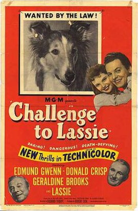 1949 film poster