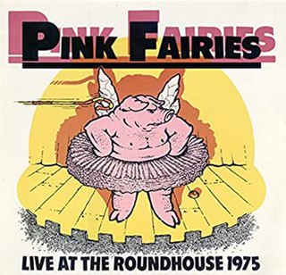 <i>Live at the Roundhouse 1975</i> 1982 live album by Pink Fairies