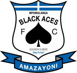 File:Mpumalanga Black Aces logo.svg