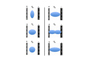 <span class="mw-page-title-main">Electrodynamic droplet deformation</span>