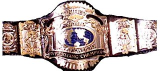 <span class="mw-page-title-main">USWA Unified World Heavyweight Championship</span> Professional wrestling championship