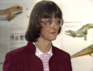 <span class="mw-page-title-main">Barbara Pyrah</span> British geologist