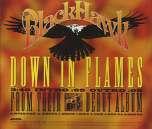 Blackhawk - down in Flames cover.png