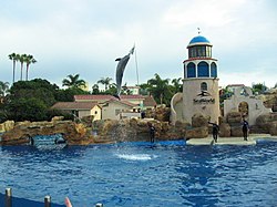 SeaWorld Dolphin jumping.JPG