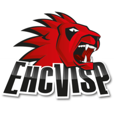 EHCVispLogo.png