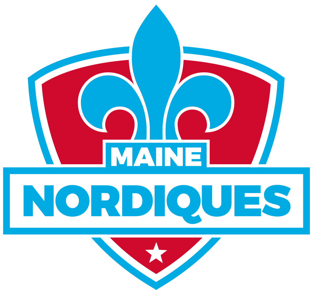 Nordiques Hockey 