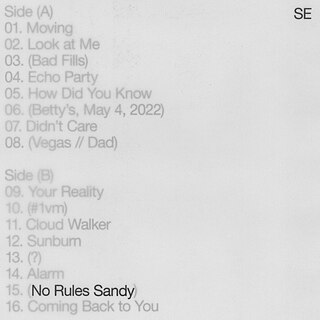 <i>No Rules Sandy</i> 2022 studio album by Sylvan Esso