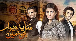 <i>Saya-e-Dewar Bhi Nahi</i> Television series