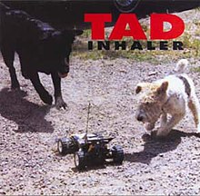 İki köpeğin fotoğrafı (biri tilki teriyeri gibi görünüyor ve diğeri görünüşe göre bir border collie), kovalayıp köşeye sıkıştırdıkları bir arabayı çevreliyor.