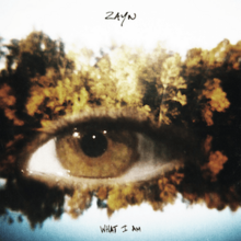 Zayn - What I Am.png