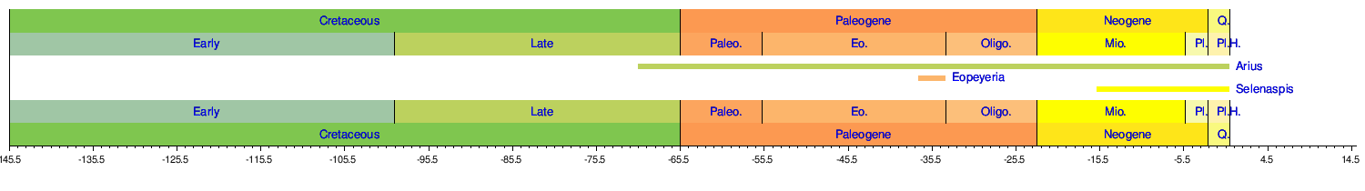 Catfish Classification Chart