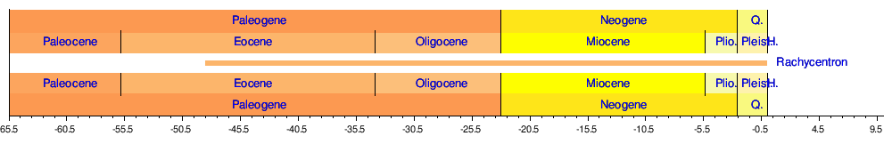 Cobia Length Weight Chart