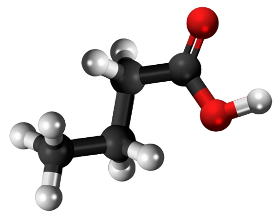 Dosiero:Butyric acid 3D.png