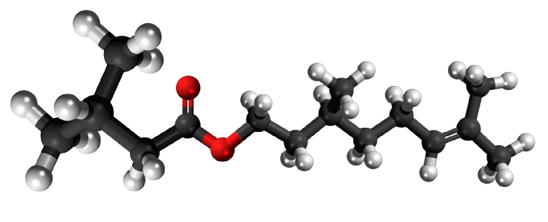 Dosiero:Citronellyl isovalerate3D.png