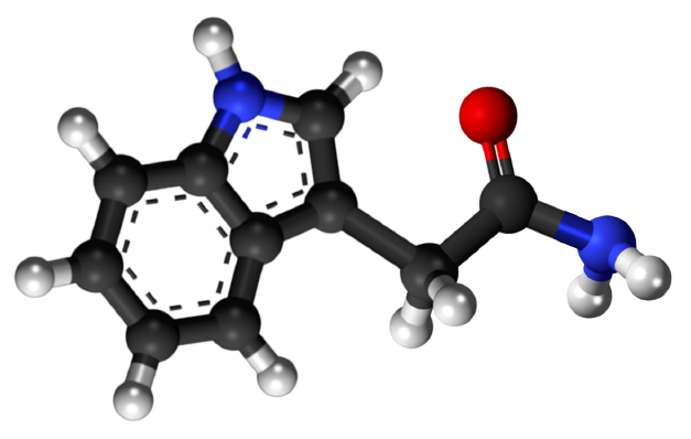 Dosiero:Indole-3-acetamide 3D.png