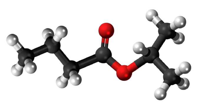 Dosiero:Isopropyl butyrate3D.png