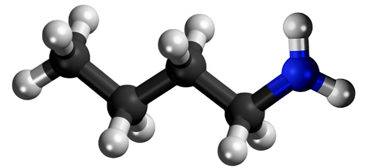 Dosiero:Butylamine 3D.png