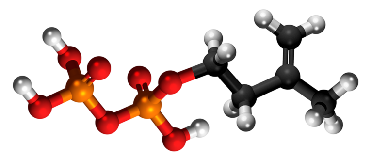 Dosiero:Isoprenyl pyrophosphate 3D.png