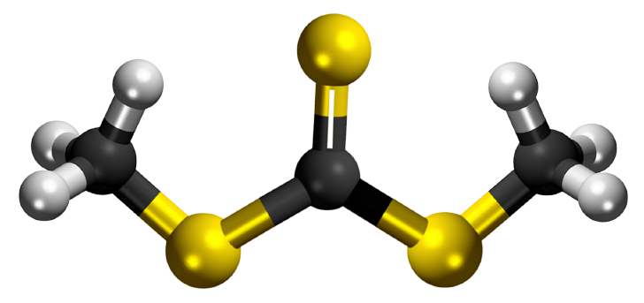 Dosiero:Methyl trithiocarbonate 3D.png