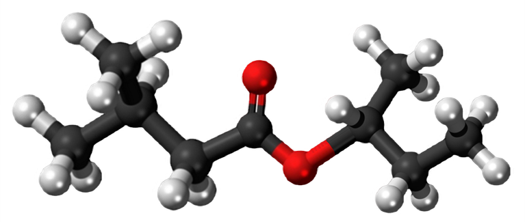 Dosiero:2-Butyl isovalerate 3D.png