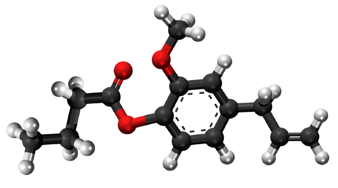 Dosiero:Eugenyl butyrate3D.png