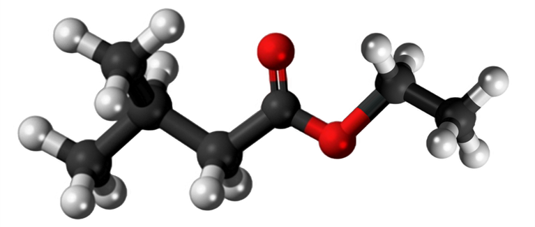 Dosiero:Ethyl isovalerate 3D.png