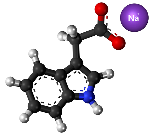 Dosiero:Sodium indole-3-acetate 3D.png