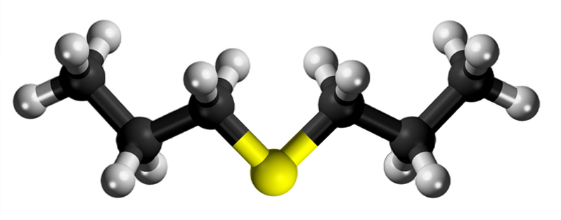 Dosiero:Propyl sulfide3D.png