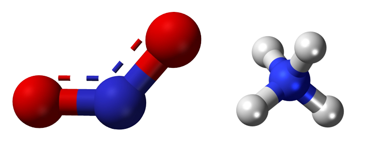 Dosiero:Ammonium nitrite3D.png