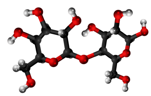 Dosiero:Lactose 3D.png