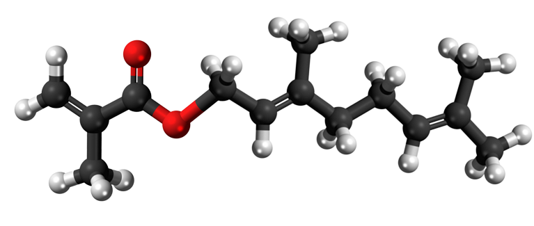 Dosiero:Geranyl methacrylate 3D.png