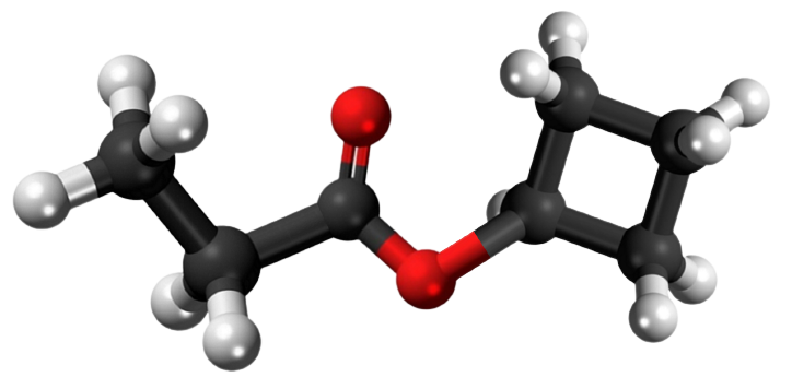 Dosiero:Cyclobutyl-propionate 3D.png