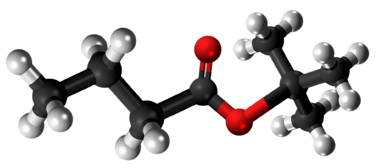 Dosiero:T-butyl butyrate 3D.png