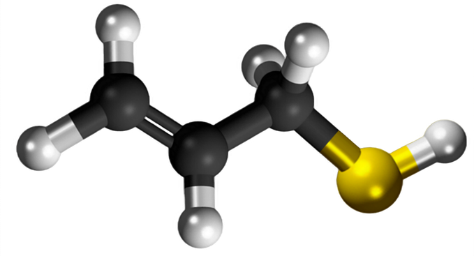 Dosiero:Allyl mercaptan 3D.png