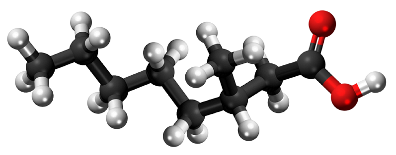 Dosiero:3-Methyl-1-octanoic acid 3D.png