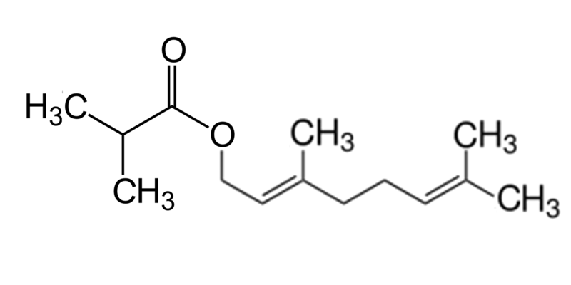 Dosiero:Geranyl isobutyrate.png