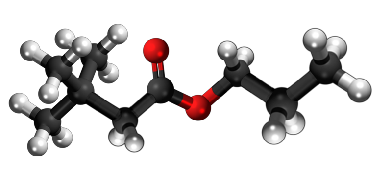 Dosiero:Propyl t-butylacetate 3D.png