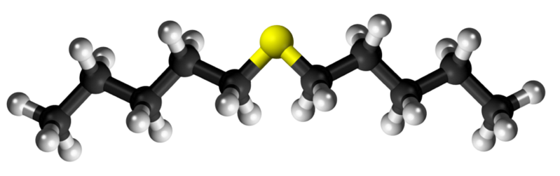 Dosiero:Amyl sulfide3D.png