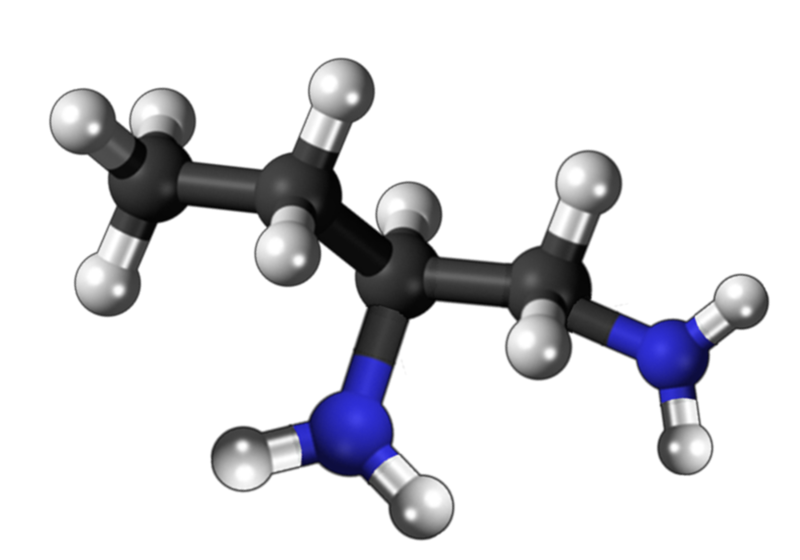 Dosiero:Aminobutylamine alpha 3D.png