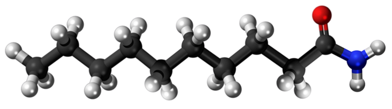 Dosiero:N-Decanamide 3D.png