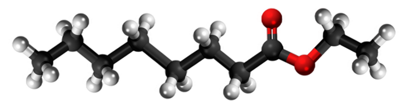 Dosiero:Ethyl octanoate 3D.png