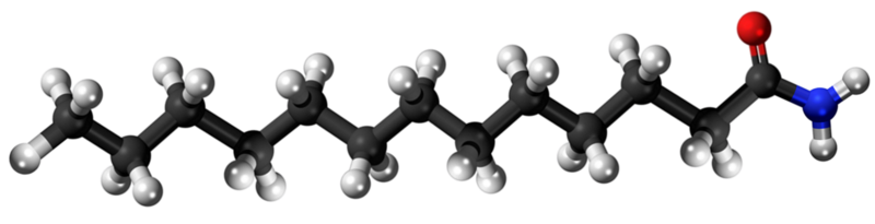 Dosiero:Tridecanamide 3D.png