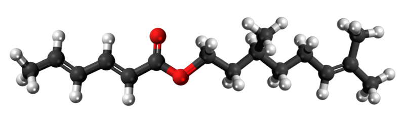 Dosiero:Citronellyl sorbate3D.png