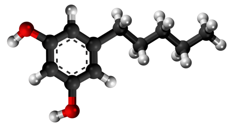 Dosiero:5-Pentylbenzene-1,3-diol 3D.png