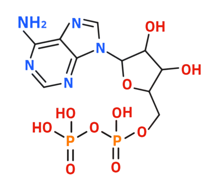 Dosiero:Adenosine pyrophosphate 2D.png