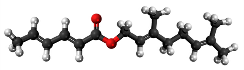 Dosiero:Geranyl sorbate3D.png