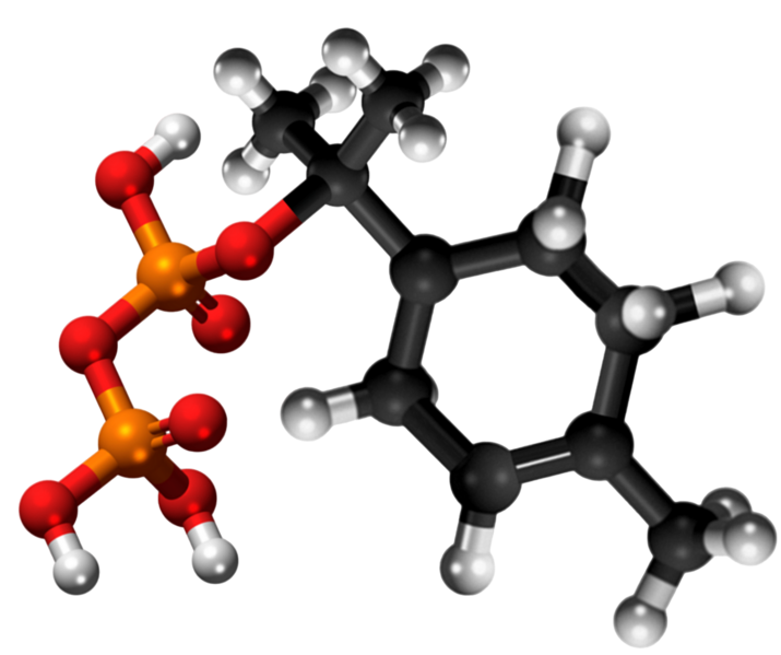 Dosiero:Α-Terpinyl pyrophosphate 3D.png