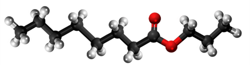 Dosiero:Propyl octanoate3D.png